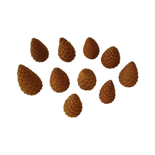 میوه تزیینی درخت کاج کد we3 مجموعه 10 عددی