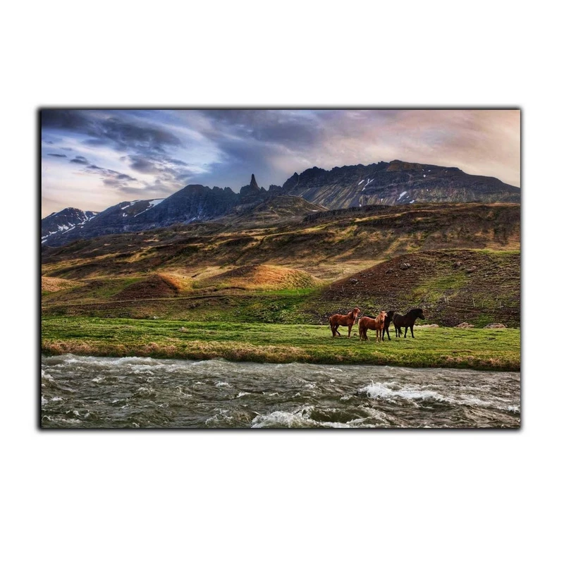 تابلو شاسی بکلیت طرح دشت و اسب مدل SH-7564