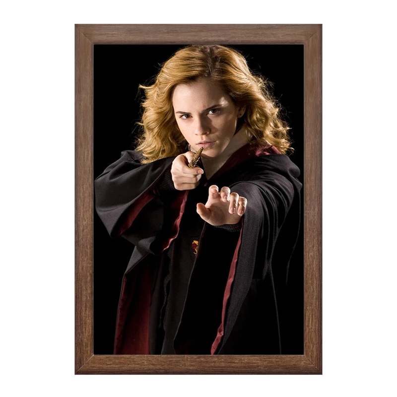 تابلو خندالو طرح هری پاتر هرمیون گرانجر کد 24950