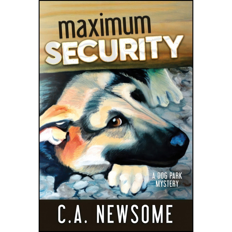 کتاب Maximum Security اثر C. A. Newsome انتشارات تازه ها