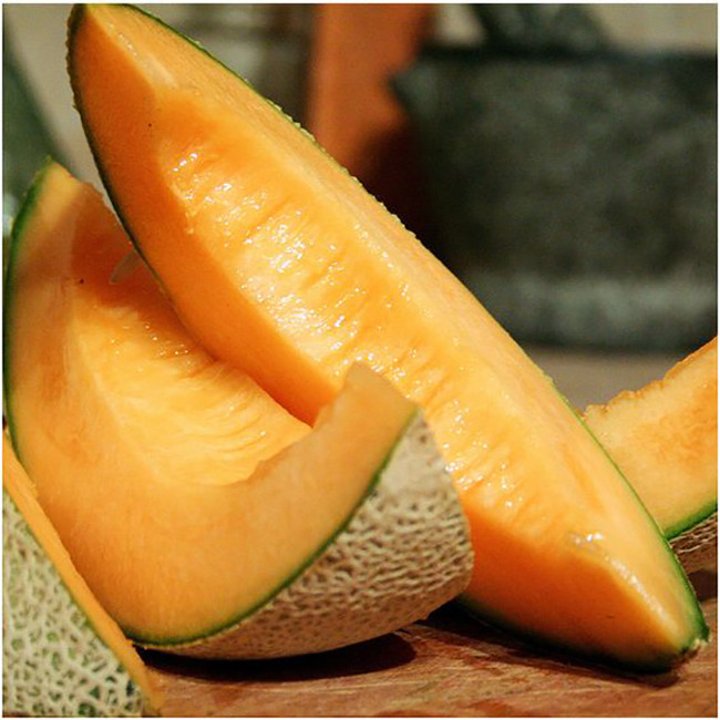 بذر طالبی زودرس سانیا سید مدل G3