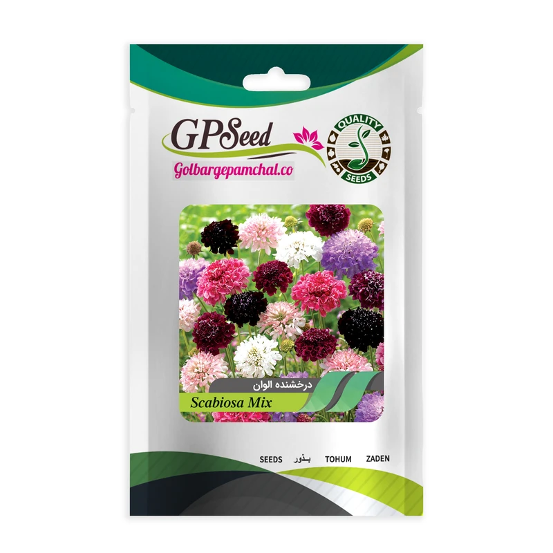 بذر گل درخشنده گلبرگ پامچال کد GPF-051