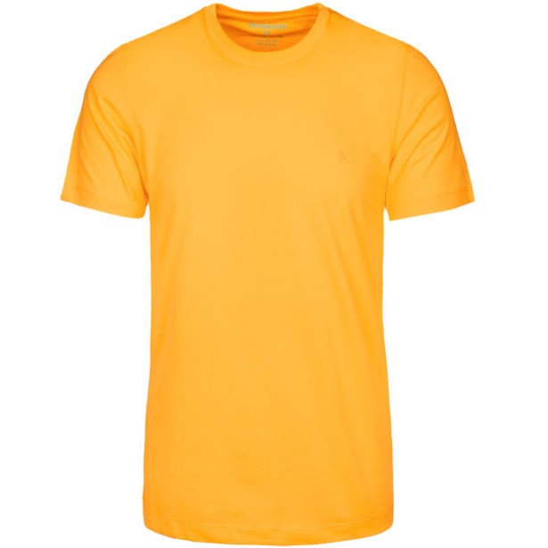 تی شرت آستین کوتاه مردانه مدل Sb-S-l-00659