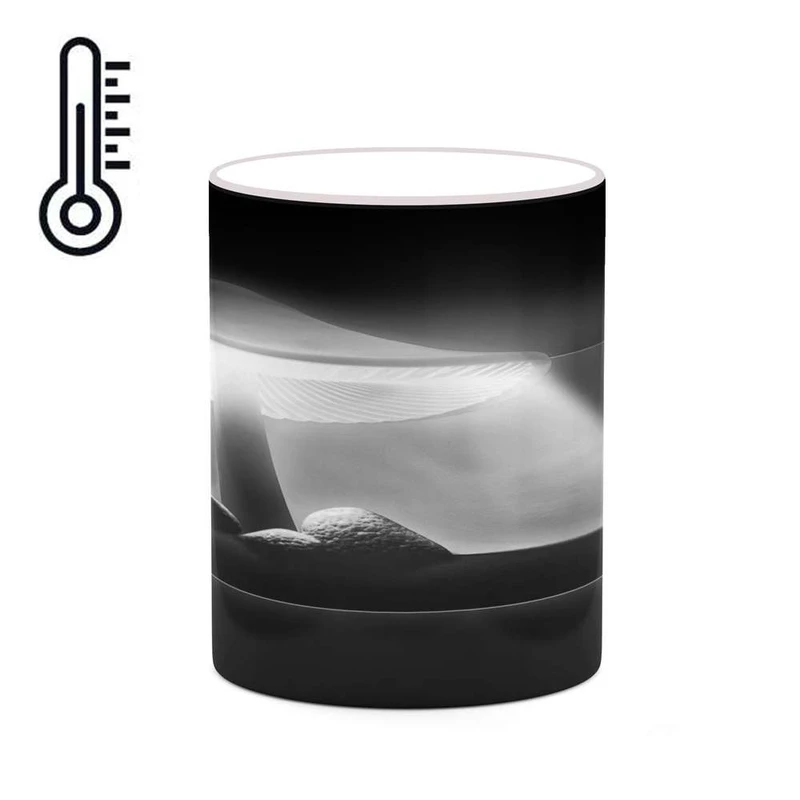 ماگ حرارتی کاکتی کد mgh19089