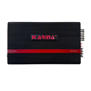 آمپلی فایر خودرو کارینا مدل ZX-8055