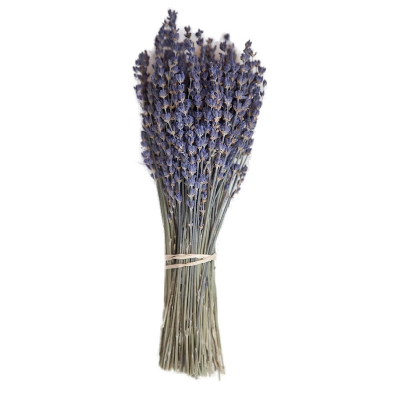 اسماج مدل گل لاواندر اسماج مدل گل لاواندر