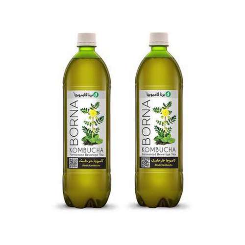 نوشیدنی خارخاسک کامبوچا - 1 لیتر بسته 2 عددی