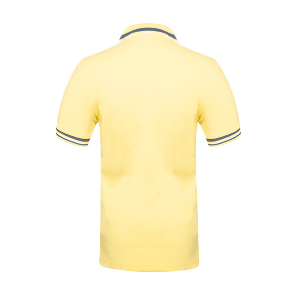 پولوشرت آستین کوتاه زنانه مروژ مدل 288