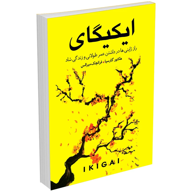 کتاب ایکیگای اثر هکتور گارسیا و فرانچسک میرالس انتشارات ندای‌معاصر