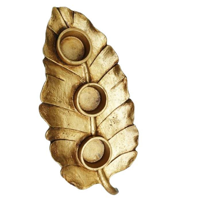 جاشمعی مدل برگ