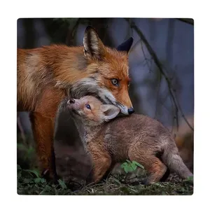 زیر لیوانی  طرح روباه و بچه روباه کد    6147675_5405