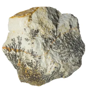  سنگ شجر مدل  فسیلی  کد 60 F 