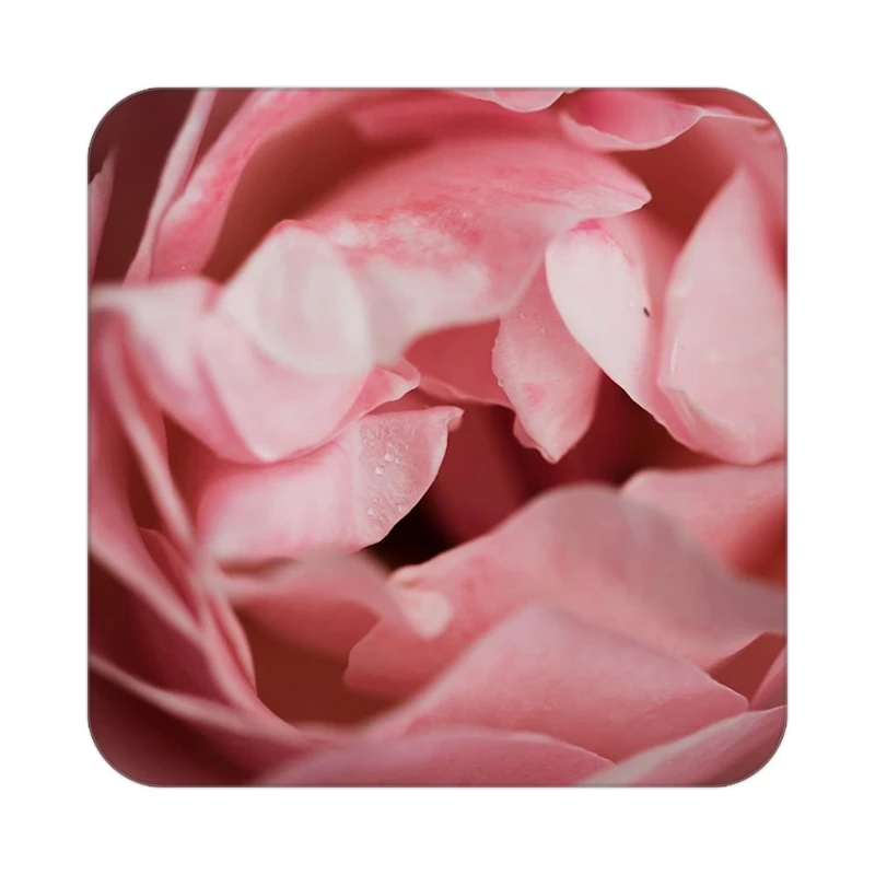 زیر لیوانی کاکتی طرح گل مدل mp16685