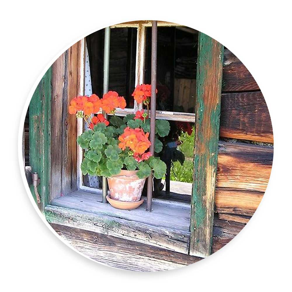 دیوارکوب طرح گل شمعدانی پشت پنجره مدل wtb469