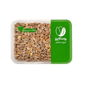 بادام کوهی شیراز بوداده با نمک دریا روستایی - 1000 گرم