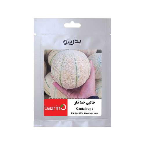 بذر طالبی خط دار بذرینو کد BZNO-264