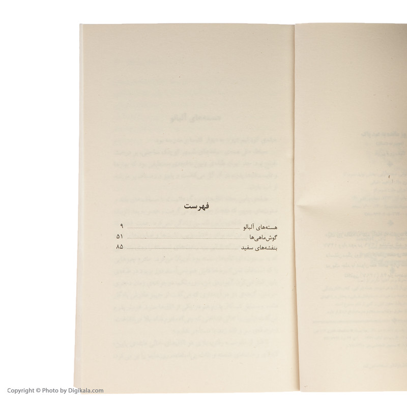 کتاب یک روز مانده به عید پاک اثر زویا پیرزاد نشر مرکز