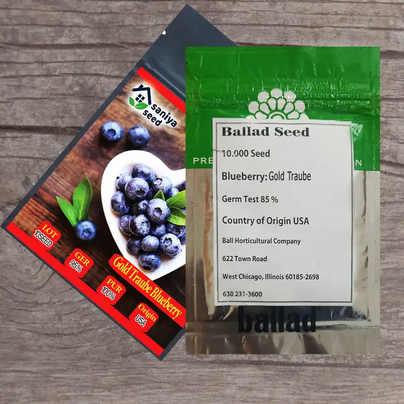 بذر بلوبری گلدتراپ سانیا سید مدل  SS79