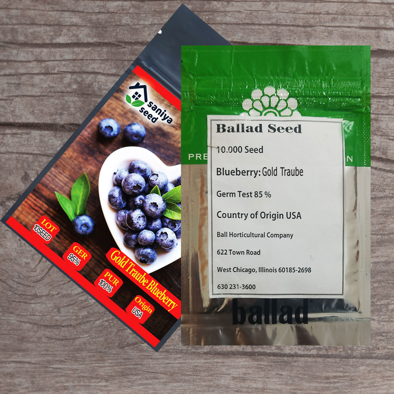 بذر بلوبری گلدتراپ سانیا سید مدل  SS79