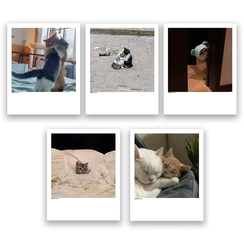 آویز تزیینی عرش مدل فانتزی گربه بامزه کد Asa355 مجموعه پنچ عددی