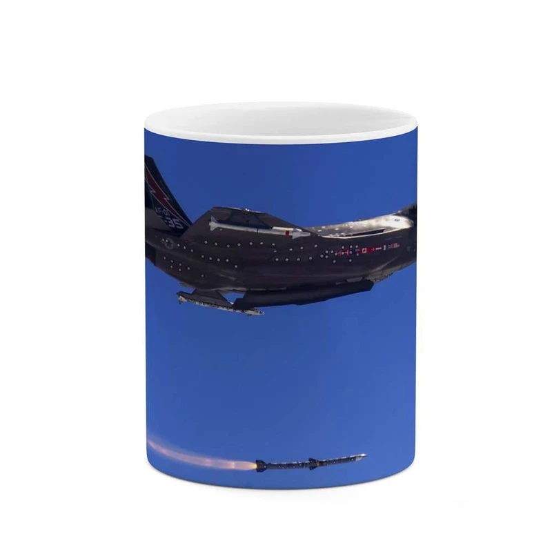 ماگ کاکتی مدل هواپیمای جنگنده کد mgh10655