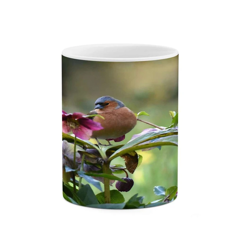 ماگ کاکتی مدل پرنده کد mgh15592