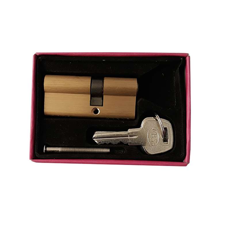 سیلندر قفل بی اس مدل 2716