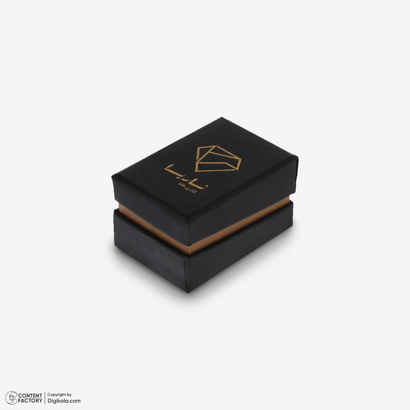 گوشواره حلقه‌ای طلا کم اجرت  18 عیار زنانه ناریا مدل Hexagon کد S3