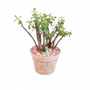 گیاه طبیعی خرفه کد 22