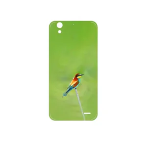 MAHOOT European bee-eater Cover Sticker for Huawei Ascend G630