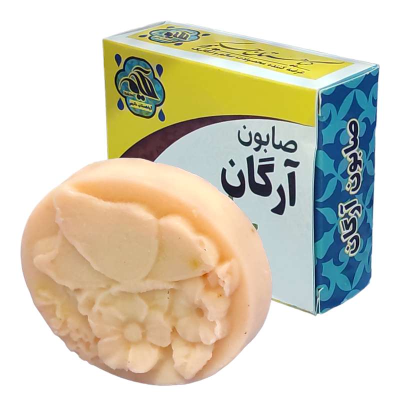 صابون شستشو گیاهستان حکیم مدل آرگان وزن 70 گرم صابون شستشو گیاهستان حکیم مدل آرگان وزن 70 گرم