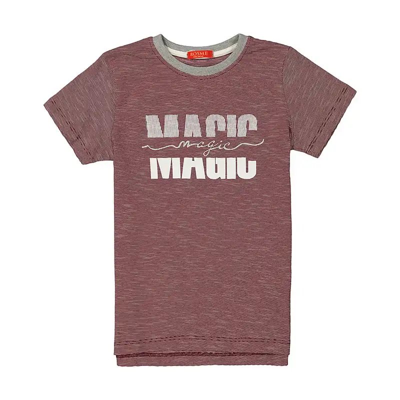 تی شرت آستین کوتاه پسرانه رُزمی مدل mo847