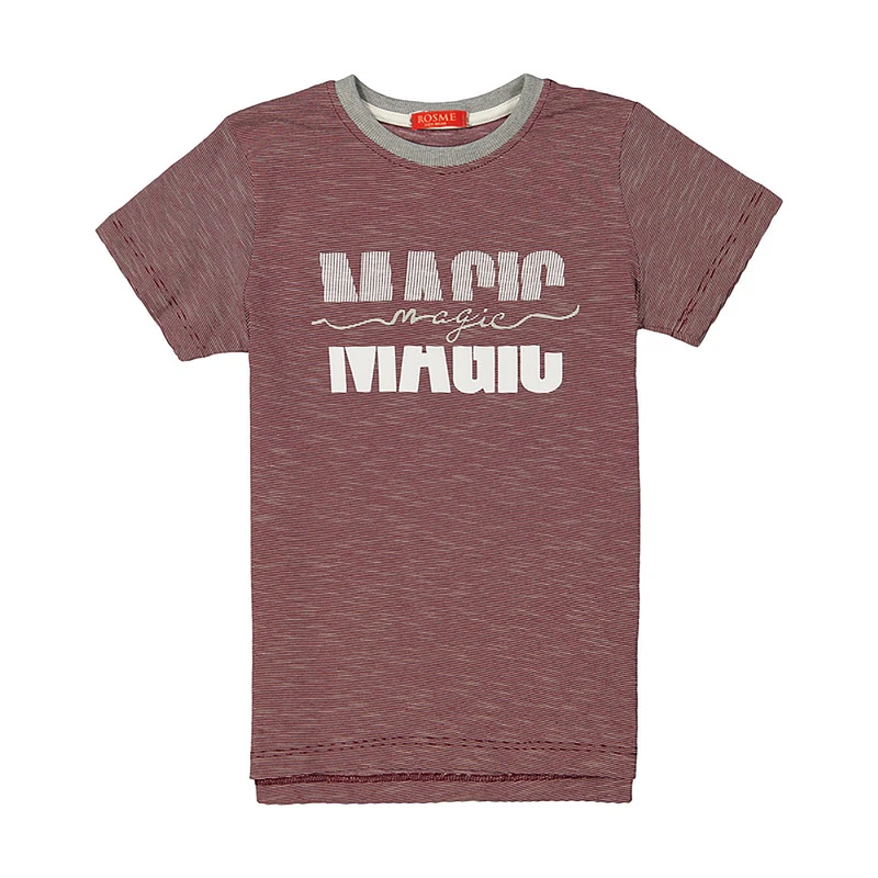 تی شرت آستین کوتاه پسرانه رُزمی مدل mo847