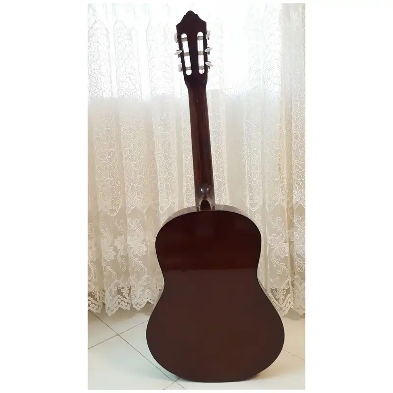 گیتار مدل C40