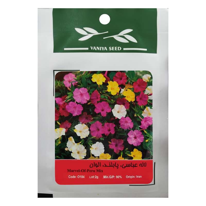 بذر گل لاله عباسی پابلند الوان وانیا سید مدل O184 بذر گل لاله عباسی پابلند الوان وانیا سید مدل O184