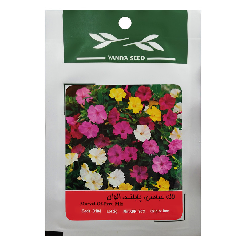 بذر گل لاله عباسی پابلند الوان وانیا سید مدل O184 بذر گل لاله عباسی پابلند الوان وانیا سید مدل O184