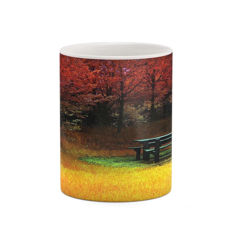 ماگ کاکتی مدل منظره کد mgh18305