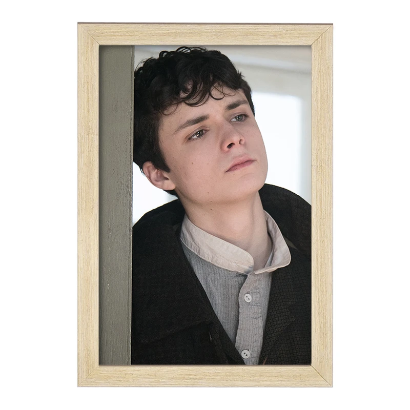 تابلو خندالو مدل گیلبرت سریال آنشرلی کد 28980