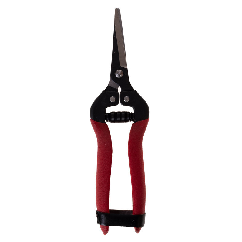 قیچی میوه چینی  مدل RH-185