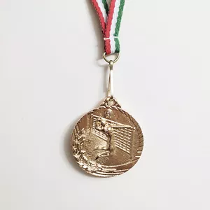 مدال قهرمانی مدل والیبال