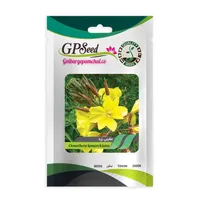 بذر گل مغربی پابلند زرد گلبرگ پامچال کد GPF-080