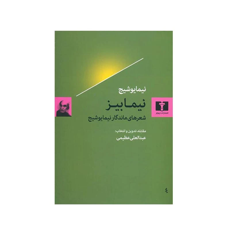 کتاب نیمابیز اثر نیما نیوشیج انتشارات نیلوفر