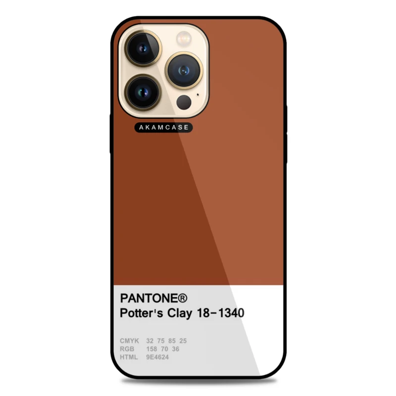 کاور آکام مدل AMC-WA13PRO-PANTONE-14 مناسب برای گوشی موبایل اپل iPhone 13 Pro