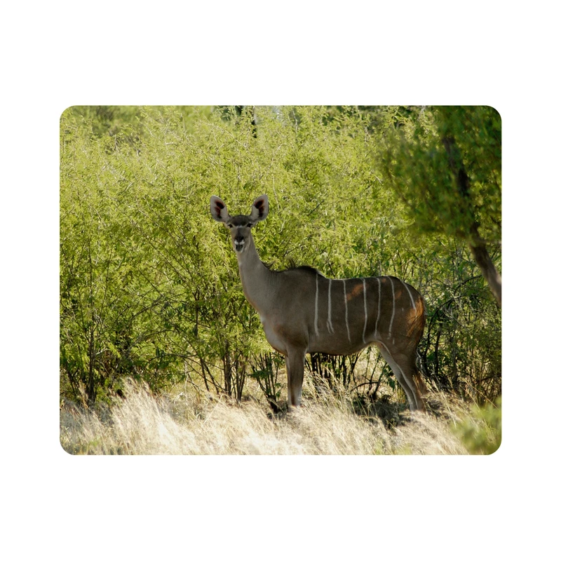 ماوس پد اطلس آبی طرح جنگل و آهو مدل T1980