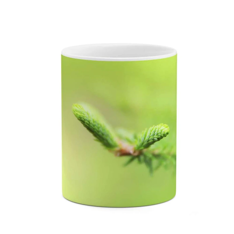 ماگ کاکتی مدل فانتزی کد mgh12081