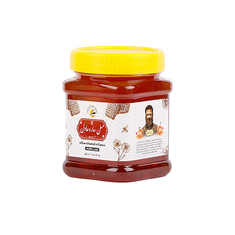 عسل طبیعی کوهستان سبلان - 500 گرم