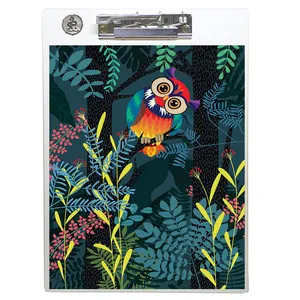 تخته شاسی طه چوب  مدل Owl color سایز A4
