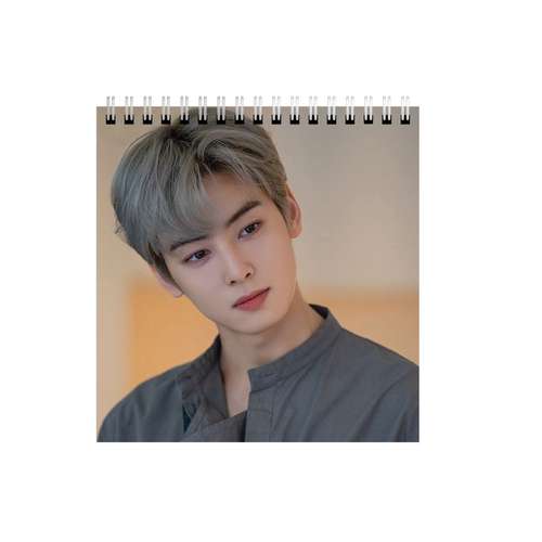 دفتر طراحی طرح چا اون وو بازیگر کره ای کد 4960730