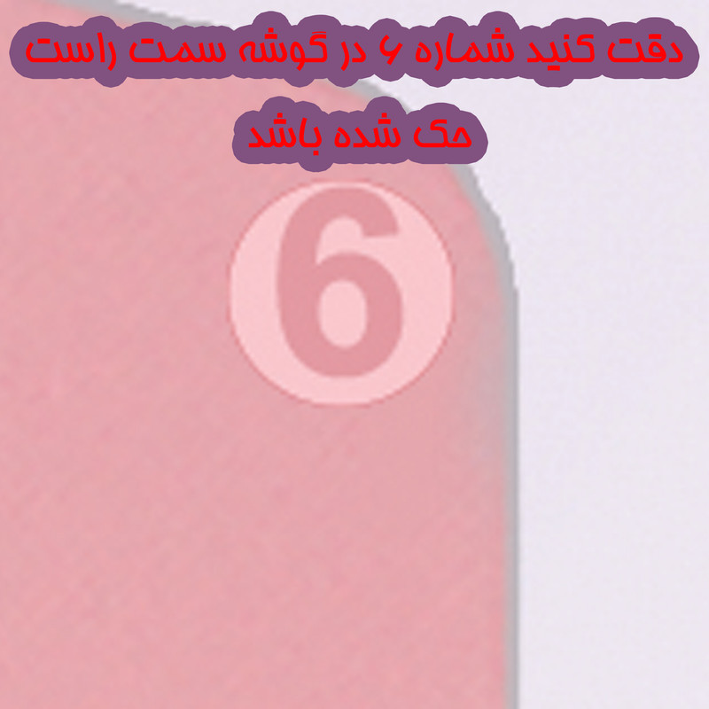 تخته گوشت کامل کد 456 تخته گوشت کامل کد 456