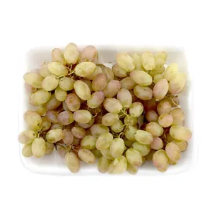 انگور شاهرودی - 1 کیلوگرم